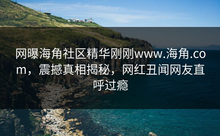 网曝海角社区精华刚刚www.海角.com，震撼真相揭秘，网红丑闻网友直呼过瘾