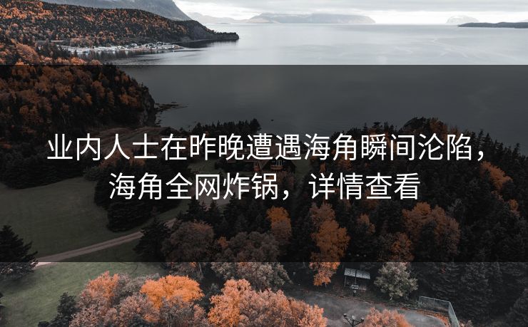 业内人士在昨晚遭遇海角瞬间沦陷，海角全网炸锅，详情查看