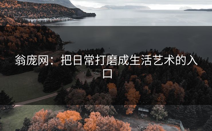 翁庞网：把日常打磨成生活艺术的入口