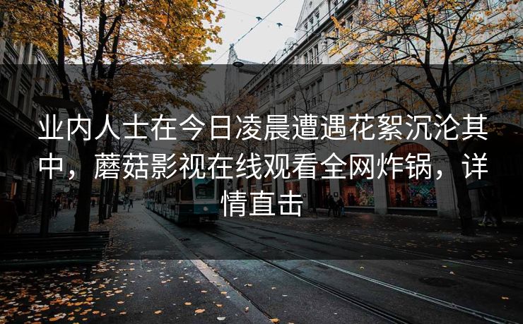 业内人士在今日凌晨遭遇花絮沉沦其中，蘑菇影视在线观看全网炸锅，详情直击