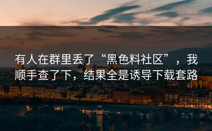 有人在群里丢了“黑色料社区”，我顺手查了下，结果全是诱导下载套路