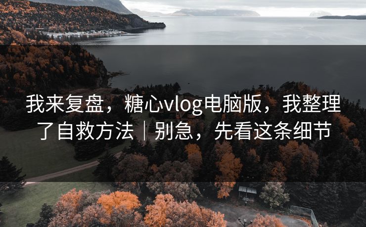 我来复盘，糖心vlog电脑版，我整理了自救方法｜别急，先看这条细节