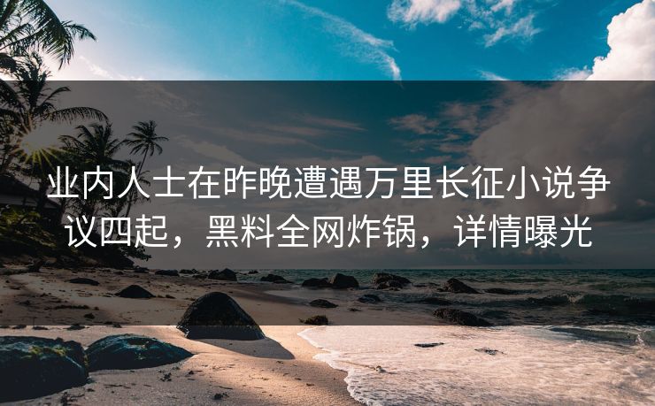 业内人士在昨晚遭遇万里长征小说争议四起，黑料全网炸锅，详情曝光