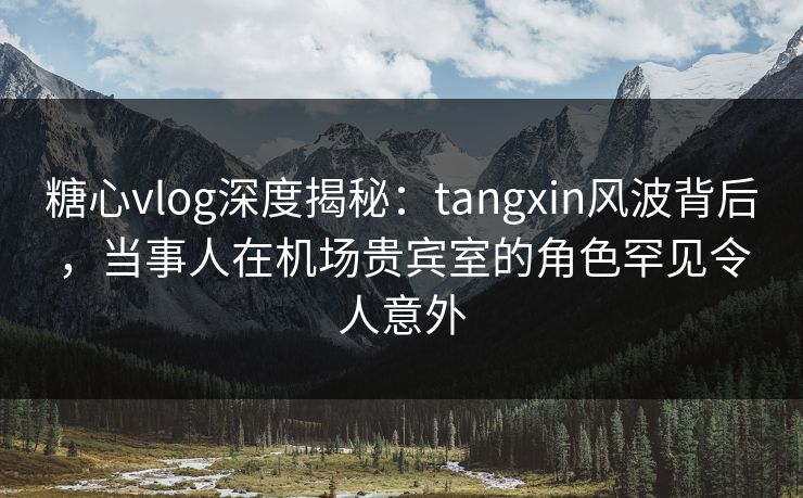 糖心vlog深度揭秘：tangxin风波背后，当事人在机场贵宾室的角色罕见令人意外